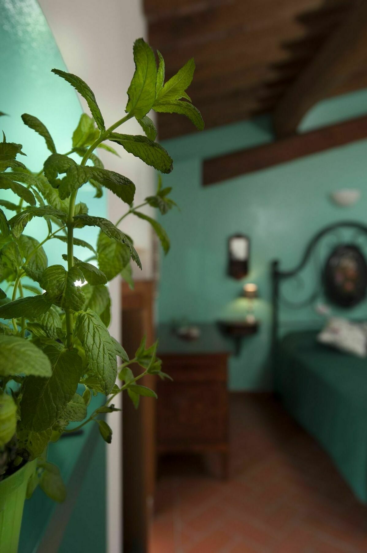Antico Granaione Bed & Breakfast Rapolano Terme Ngoại thất bức ảnh