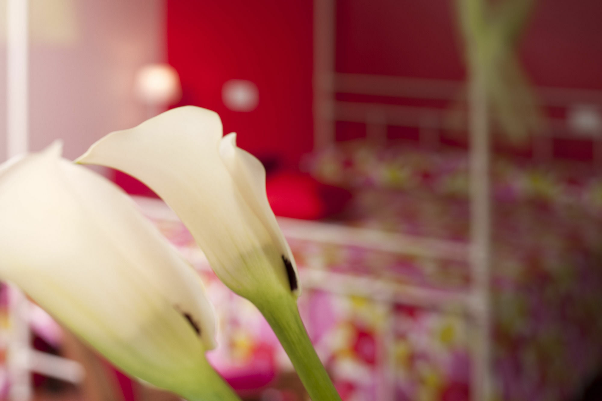Antico Granaione Bed & Breakfast Rapolano Terme Ngoại thất bức ảnh